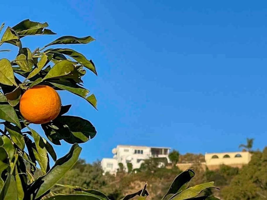 Villa Los Faramondos Naturehouse Turre Eksteriør billede