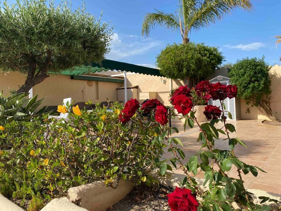 Villa Los Faramondos Naturehouse Turre Eksteriør billede