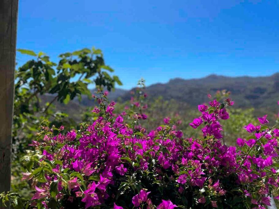 Villa Los Faramondos Naturehouse Turre Eksteriør billede