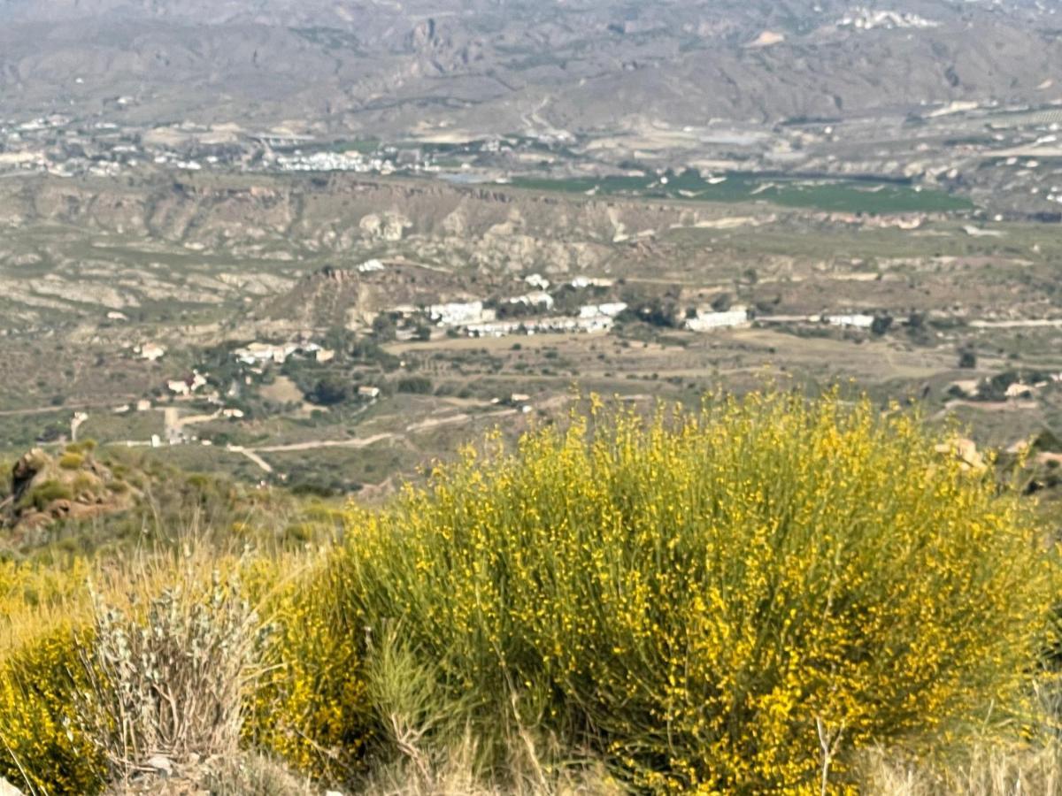 Villa Los Faramondos Naturehouse Turre Eksteriør billede